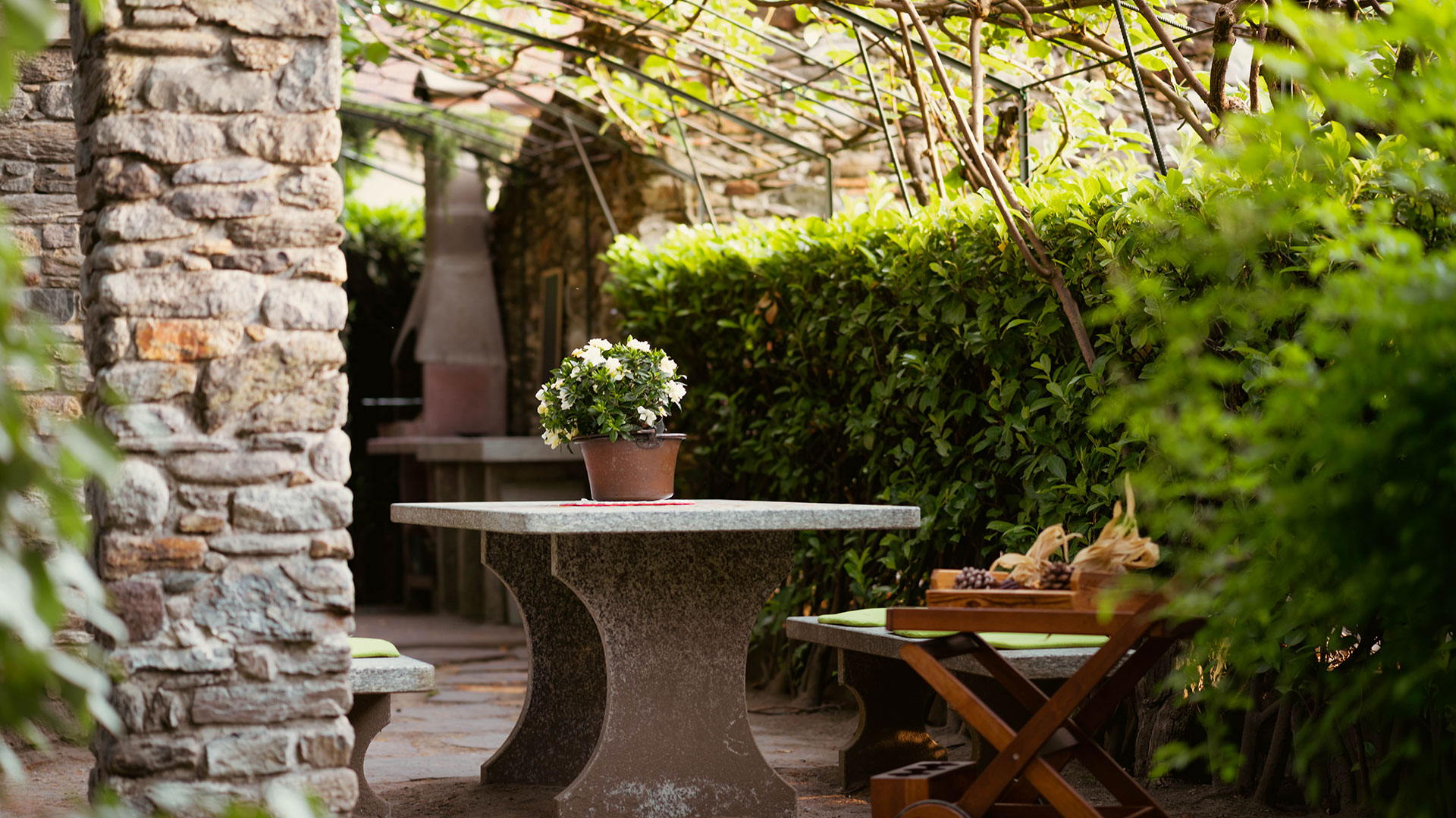 Faggio Rosso Apartment, Antico Torchio Residence