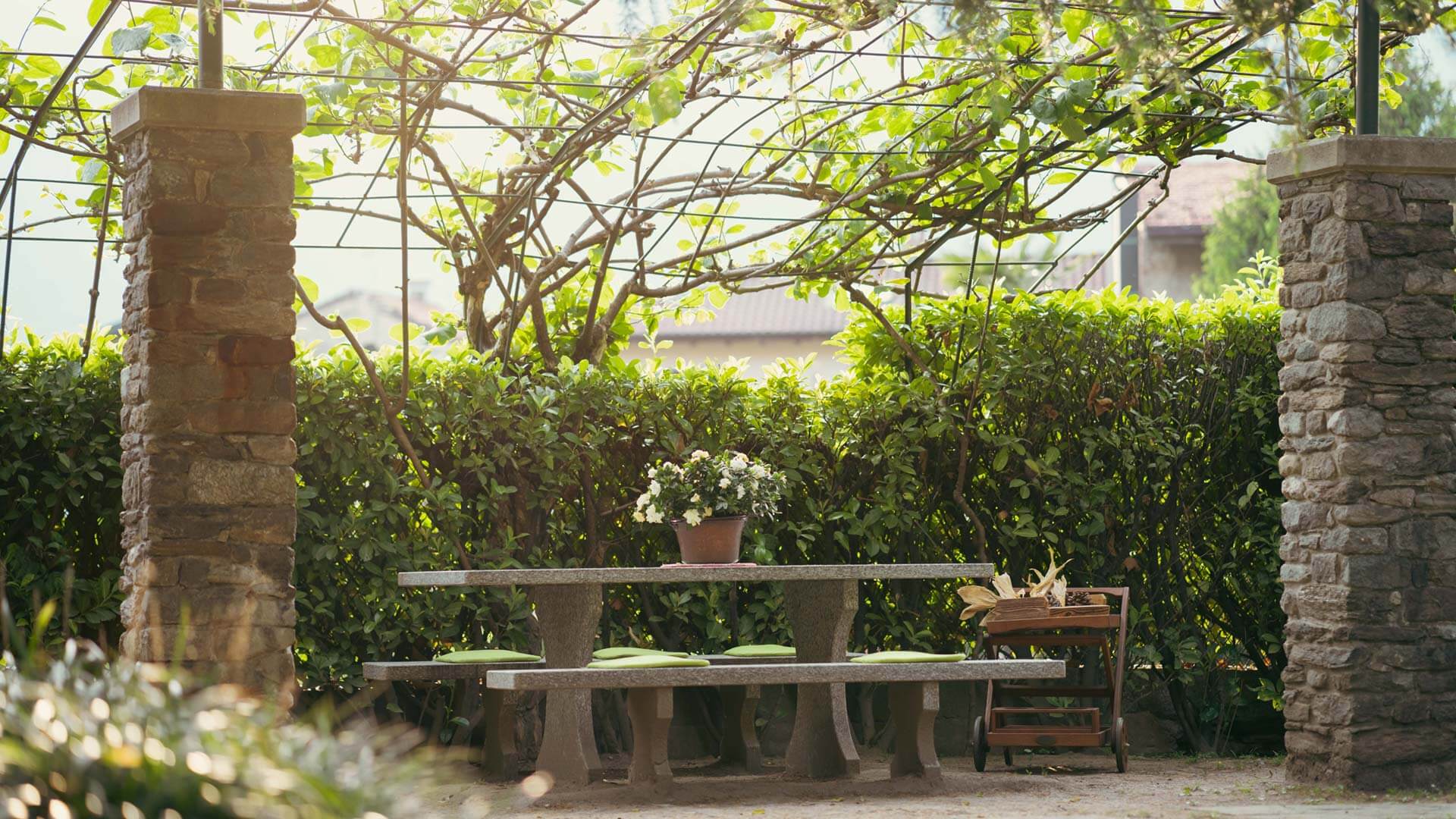 Rododendro Apartment, Antico Torchio Residence