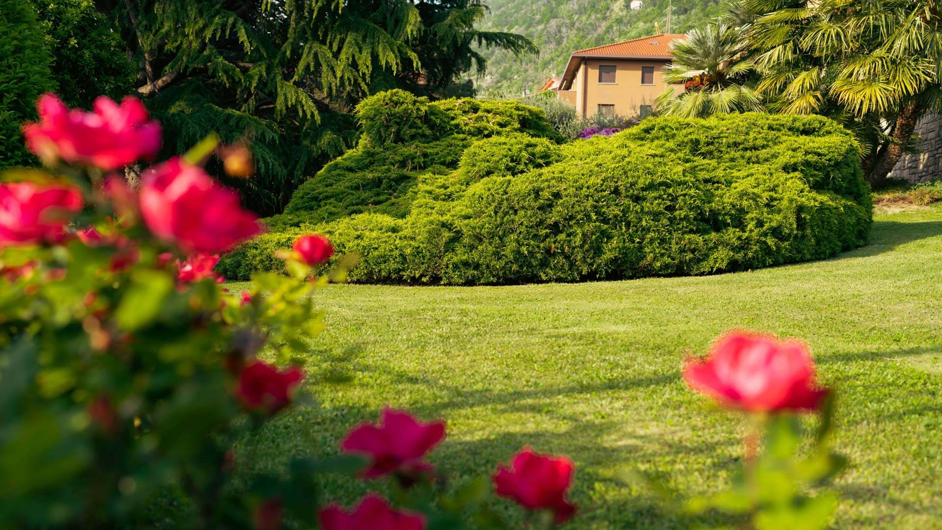 Dalia Apartment, Dervio Villa