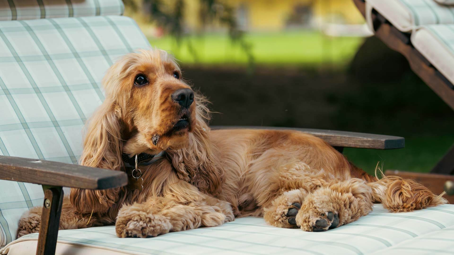 Appartamento Dalia, Villa Dervio